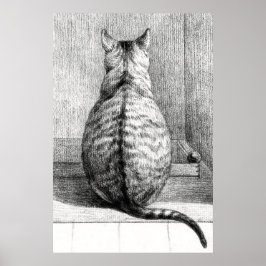 Vintage Cat Sketch Art Drawing Poster