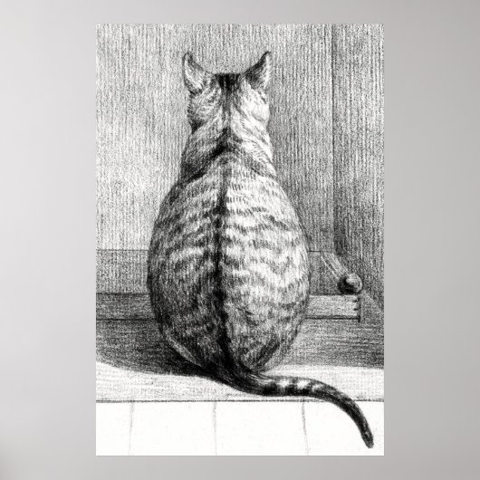 Vintage Cat Sketch Art Drawing Poster (Voorkant)