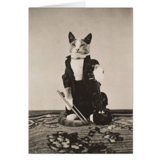 Vintage - Cat Violinist, (Voorkant)