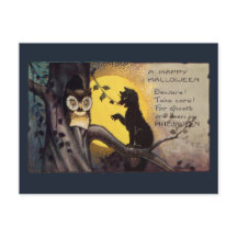 Vintage Cat Warning Owl Spooky Halloween Postcard