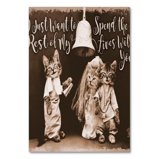 Vintage Cat Wedding |Cute Cat Design Kaart (Voorkant)