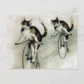 Vintage Cats on Bikes Briefkaart (Voorkant)