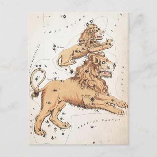 Vintage Celesstial Lions Briefkaart (Voorkant)