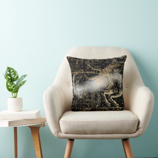 Vintage Celestial Star Map Background Kussen (Stoel)