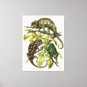 Vintage Chameleon Lizard Canvas Afdruk (Voorkant)