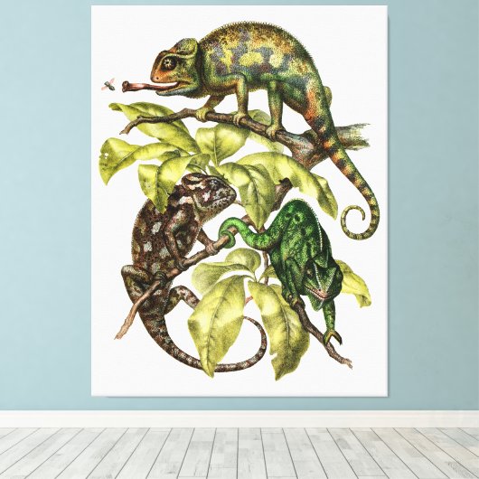 Vintage Chameleon Lizard Canvas Afdruk (Insitu (Houten vloer))