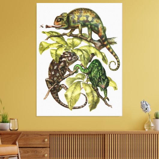 Vintage Chameleon Lizard Canvas Afdruk (Insitu (Woonkamer))