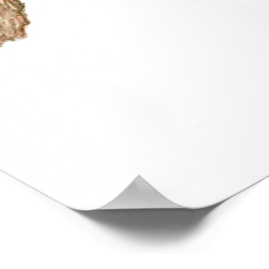 Vintage Chameleon Lizard Poster (Hoek)