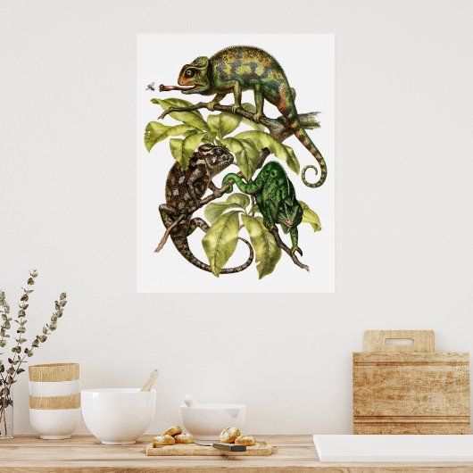 Vintage Chameleon Lizard Poster (Keuken)