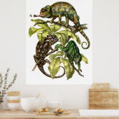 Vintage Chameleon Lizard Poster (Keuken)