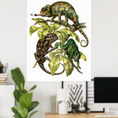 Vintage Chameleon Lizard Poster (Thuiskantoor)