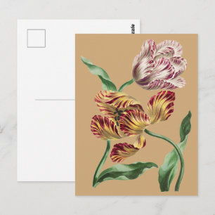Vintage Chic 18e-eeuwse botanische tulp kunst Briefkaart