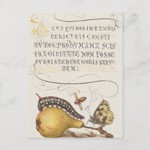 Vintage Chic Calligrafie vlinderprint Briefkaart