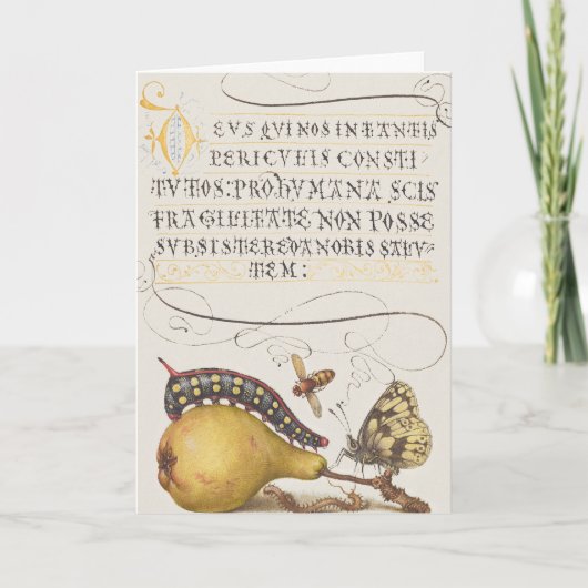 Vintage Chic Calligrafie vlinderprint Kaart (Voorkant)