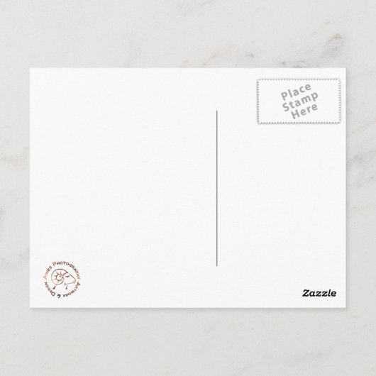 Vintage Chicago Briefkaart (Achterkant)