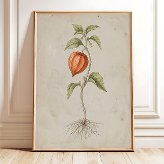 Vintage Chinese Lantaarn Muur Kunst Canvasprint Poster