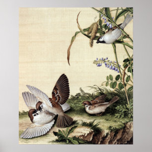 Vintage Chinoiserie Mussens en Paarse Bloemen Poster