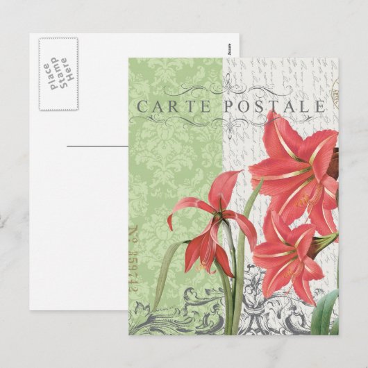 Vintage Christmas-Amaryllis briefkaart (Voorkant / Achterkant)