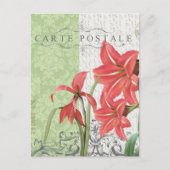 Vintage Christmas-Amaryllis briefkaart (Voorkant)