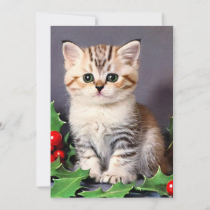 Vintage Christmas Kitten en Holly Aankondiging