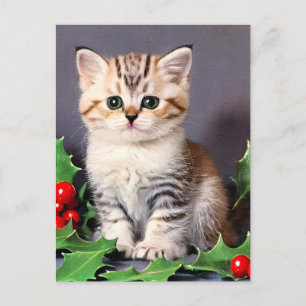 Vintage Christmas Kitten en Holly Briefkaart
