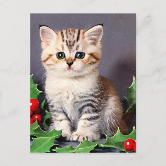 Vintage Christmas Kitten en Holly Feestdagenkaart (Voorkant)