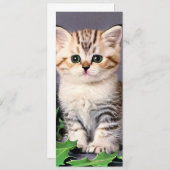 Vintage Christmas Kitten en Holly Kaart (Voorkant / Achterkant)