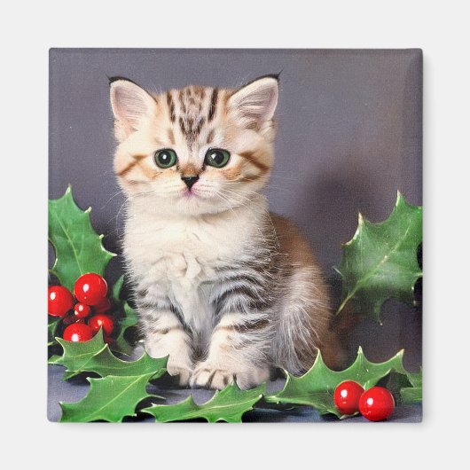 Vintage Christmas Kitten en Holly Magneet (Voorkant)