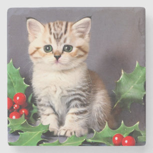 Vintage Christmas Kitten en Holly Stenen Onderzetter