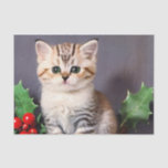 Vintage Christmas Kitten en Holly Tissuepapier<br><div class="desc">Weefselpapier met een vintage kerstkitten en hulst! Een schattig kat met groene ogen poseert met takken van hulst. Een vrolijk cadeau voor het kerstseizoen en kattenliefhebbers!</div>