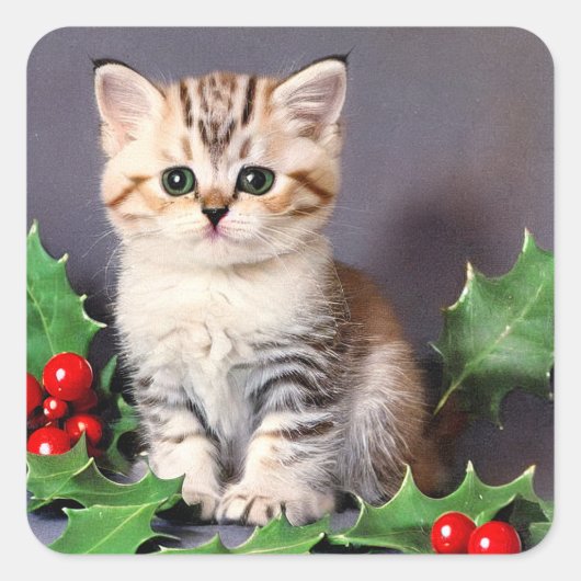 Vintage Christmas Kitten en Holly Vierkante Sticker (Voorkant)