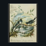 Vintage Christmas Swallows Birds Briefkaart<br><div class="desc">Dit briefkaart heeft een afbeelding van zwaluwen op een tak en daarachter is een winterscène. Bovenaan, in een lettertype, staat een begroeting. Op de bodem van het sentiment staat: "Happy May your Christmas be… May Golden Happiness on times Swift Wing, they Life make Bright". Geniet van je nieuwe Vintage Christmas...</div>