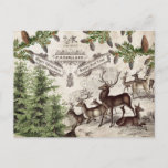 VINTAGE CHRISTMAS WOODLAND BRIEFKAART<br><div class="desc">Een oogstkerstontwerp met oude vrolijke kerst en vrolijke nieuwjaartypografie in combinatie met antiek natuurwetenschappelijke afbeeldingen van herten,  saus en vuurtekeningen.</div>