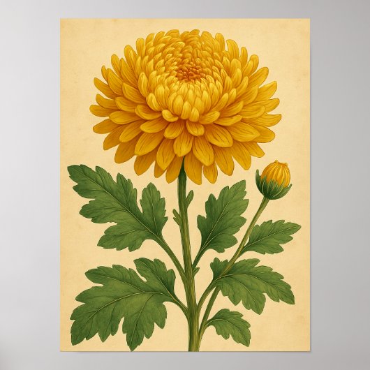 Vintage Chrysanthemum on Weathered Paper Poster (Voorkant)