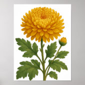 Vintage Chrysanthemum Poster (Voorkant)