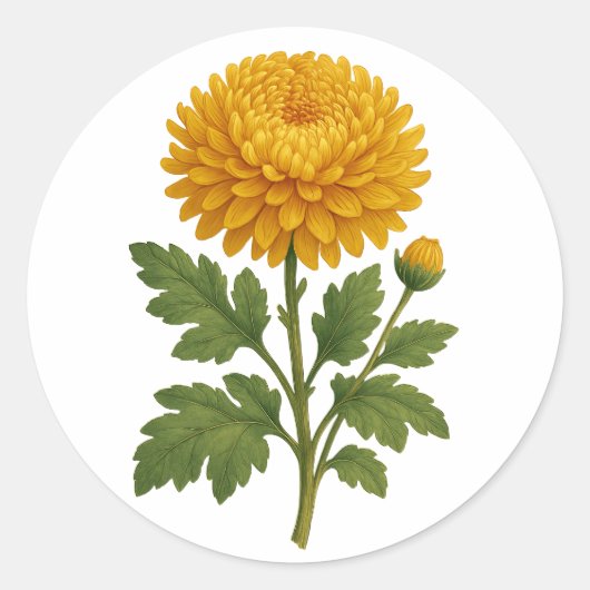 Vintage Chrysanthemum sticker - round (Voorkant)