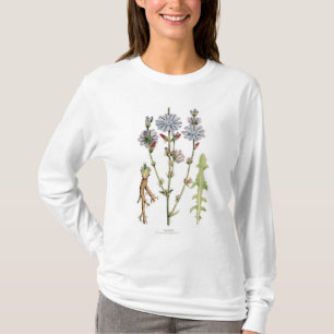Vintage cichorei botanisch t-shirt