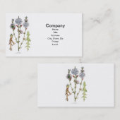 Vintage cichorei botanisch visitekaartje (Voorkant / Achterkant)