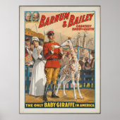 Vintage: circus Barnum & Bailey - Poster (Voorkant)