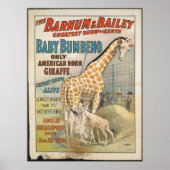 Vintage: circus Barnum & Bailey - Poster (Voorkant)