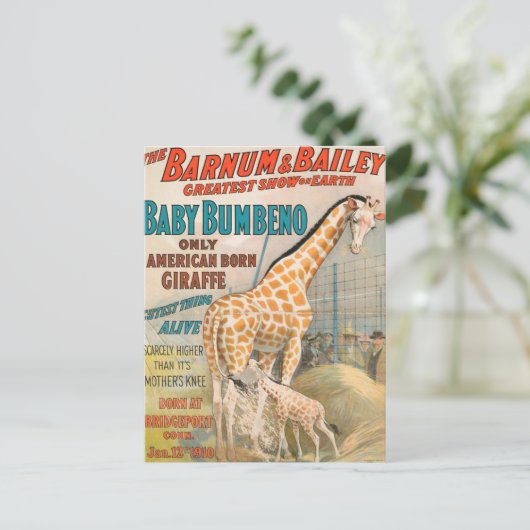 VINTAGE : circus Barnum en Bailey - Briefkaart (Staand voorkant)