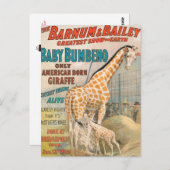 VINTAGE : circus Barnum en Bailey - Briefkaart (Voorkant / Achterkant)