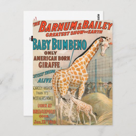 VINTAGE : circus Barnum en Bailey - Briefkaart (Voorkant / Achterkant)