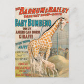 VINTAGE : circus Barnum en Bailey - Briefkaart (Voorkant)