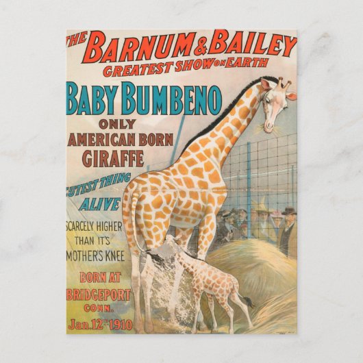 VINTAGE : circus Barnum en Bailey - Briefkaart (Voorkant)