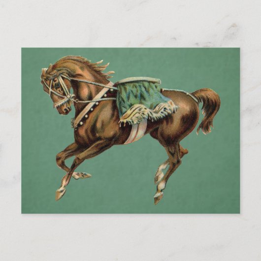 vintage circuspaard briefkaart (Voorkant)