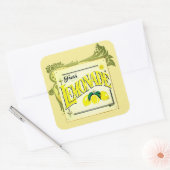 Vintage citroenmoer vierkante sticker (Envelop)