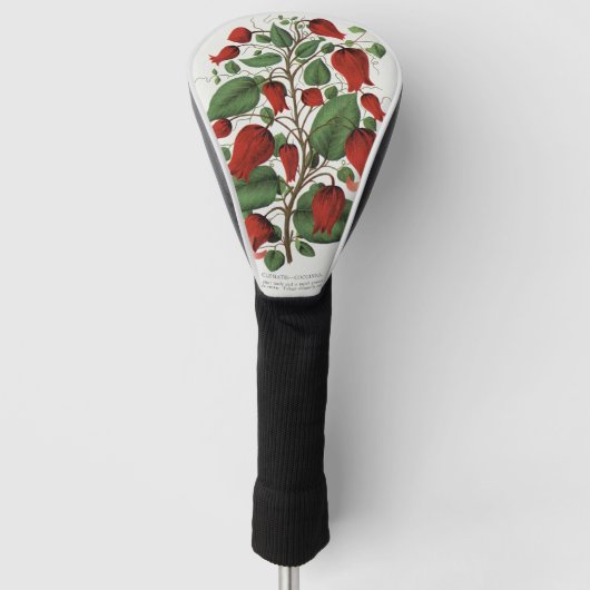 Vintage Clematis Coccinea Rode Bloemkunst Golfheadcover (Voorkant)