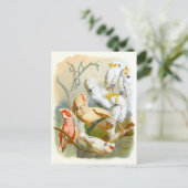 Vintage Cockatoos Illustration Briefkaart (Staand voorkant)