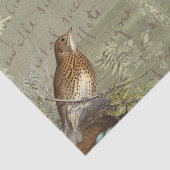 Vintage Collage Lady Bird Zee, Frans script Tissuepapier (Detail)